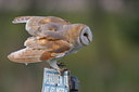 BUITEN BEELD Foto: 64500