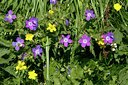 BUITEN BEELD Foto: 64508