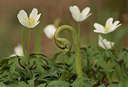 BUITEN BEELD Foto: 64523