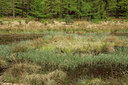 BUITEN BEELD Foto: 64533