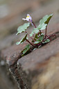 BUITEN BEELD Foto: 64579