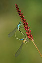 BUITEN BEELD Foto: 64609