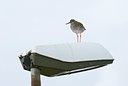 BUITEN BEELD Foto: 64632