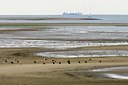 BUITEN BEELD Foto: 64634