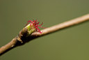 BUITEN BEELD Foto: 64642