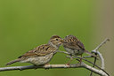 BUITEN BEELD Foto: 64644