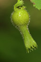 BUITEN BEELD Foto: 64645
