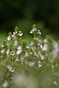 BUITEN BEELD Foto: 64648