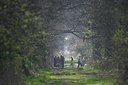 BUITEN BEELD Foto: 64685