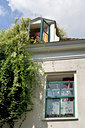 BUITEN BEELD Foto: 64705