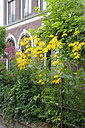 BUITEN BEELD Foto: 64710
