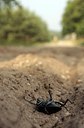 BUITEN BEELD Foto: 64755