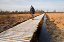 BUITEN BEELD Foto: 64779