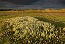 BUITEN BEELD Foto: 64785