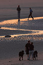BUITEN BEELD Foto: 64794