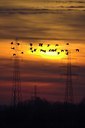BUITEN BEELD Foto: 64804
