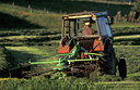 BUITEN BEELD Foto: 64805