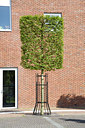 BUITEN BEELD Foto: 64825