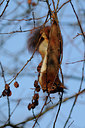 BUITEN BEELD Foto: 64855