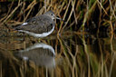 BUITEN BEELD Foto: 64867