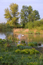 BUITEN BEELD Foto: 64905