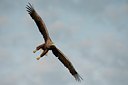 BUITEN BEELD Foto: 64969