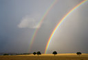 BUITEN BEELD Foto: 64989