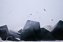 BUITEN BEELD Foto: 65004