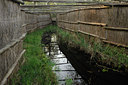 BUITEN BEELD Foto: 65064