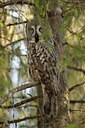 BUITEN BEELD Foto: 65083