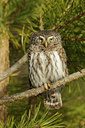 BUITEN BEELD Foto: 65105