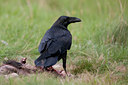 BUITEN BEELD Foto: 65196