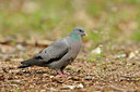 BUITEN BEELD Foto: 65220