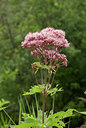 BUITEN BEELD Foto: 65340