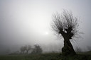 BUITEN BEELD Foto: 65349