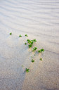 BUITEN BEELD Foto: 65391