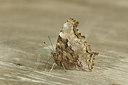 BUITEN BEELD Foto: 65401