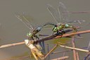 BUITEN BEELD Foto: 65408