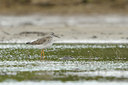 BUITEN BEELD Foto: 65441