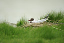 BUITEN BEELD Foto: 65442