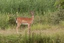 BUITEN BEELD Foto: 65450