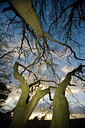 BUITEN BEELD Foto: 65540