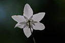 BUITEN BEELD Foto: 65553