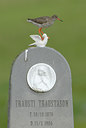 BUITEN BEELD Foto: 65570