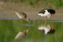 BUITEN BEELD Foto: 65590