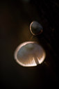 BUITEN BEELD Foto: 65647