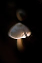 BUITEN BEELD Foto: 65648