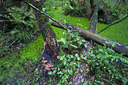 BUITEN BEELD Foto: 65650