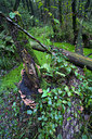 BUITEN BEELD Foto: 65651