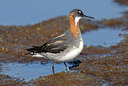 BUITEN BEELD Foto: 65682